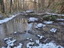 Labyrinthe hivernal
